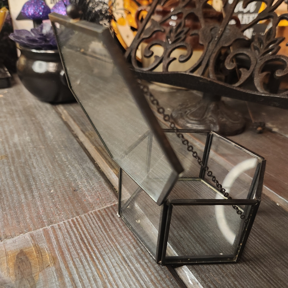 Hexagonal Glass Terrarium with Black Frame - Picture 4 of 4